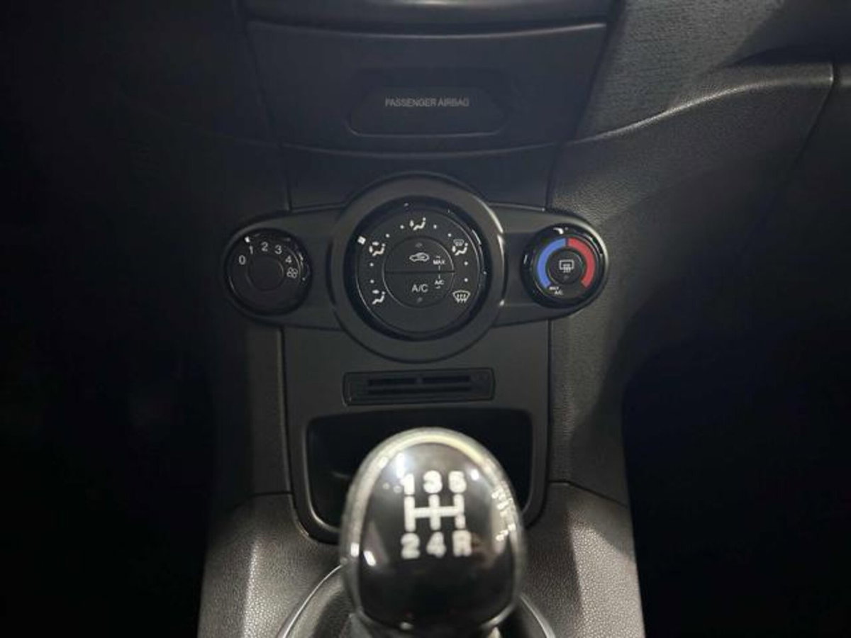 Ford Fiesta 1.4 3 porte Bz.- GPL Black & White Edition (17)