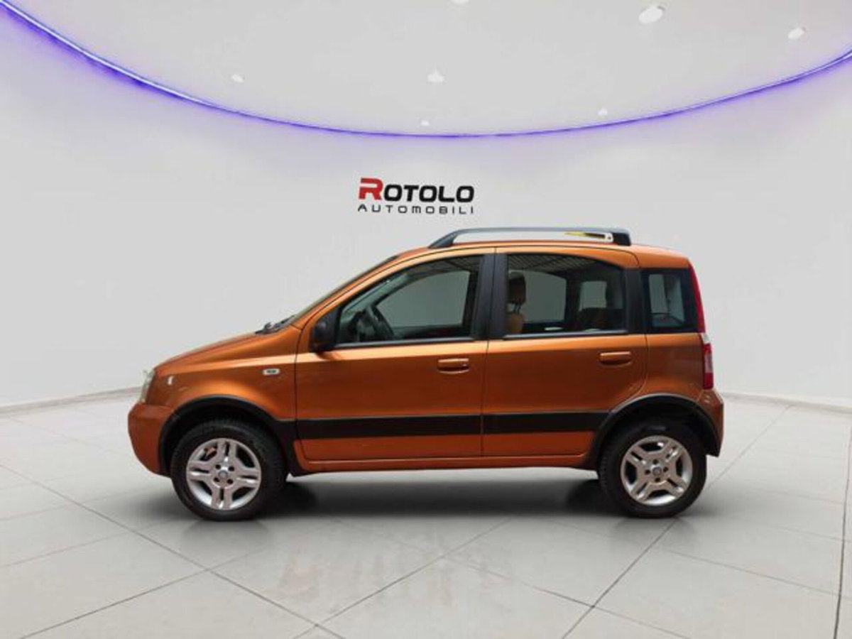 Fiat Panda 1.2 Climbing Natural Power (3)