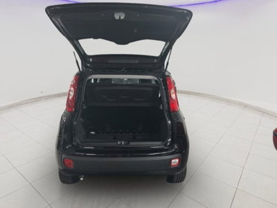Fiat Panda 1.0 firefly hybrid Icon s&s 70cv (9)
