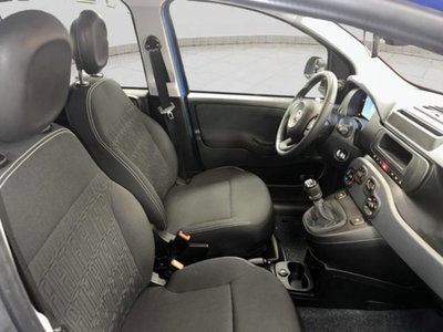Fiat Panda 1.0 firefly hybrid Pop s&s 70cv (15)