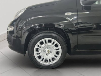 Fiat Panda 1.0 firefly hybrid Pop s&s 70cv (10)
