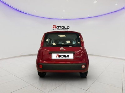 Fiat Panda 1.0 firefly hybrid Pop s&s 70cv (5)
