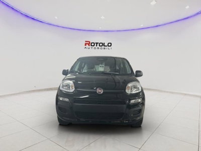 Fiat Panda 1.0 firefly hybrid Pop s&s 70cv (2)