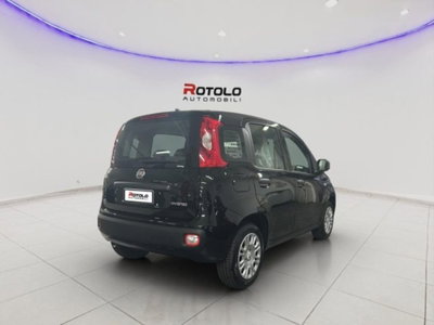 Fiat Panda 1.0 firefly hybrid Pop s&s 70cv (6)