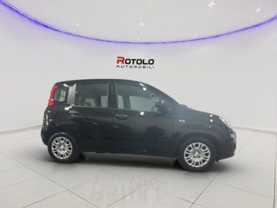 Fiat Panda 1.0 firefly hybrid Pop s&s 70cv (7)