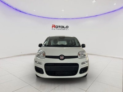 Fiat Panda 1.0 firefly hybrid Pop s&s 70cv (2)