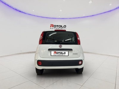 Fiat Panda 1.0 firefly hybrid Pop s&s 70cv (3)