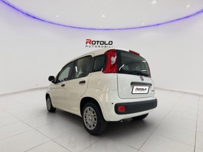 Fiat Panda 1.0 firefly hybrid Pop s&s 70cv (4)