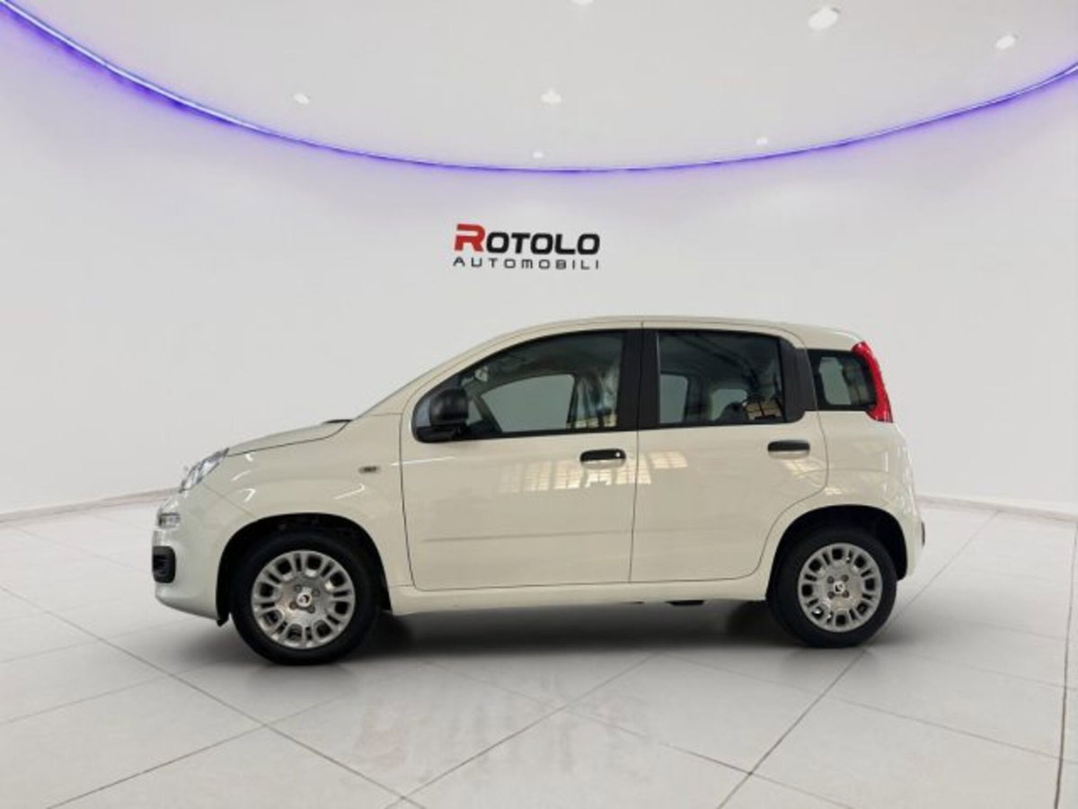 Fiat Panda 1.0 firefly hybrid Pop s&s 70cv (5)