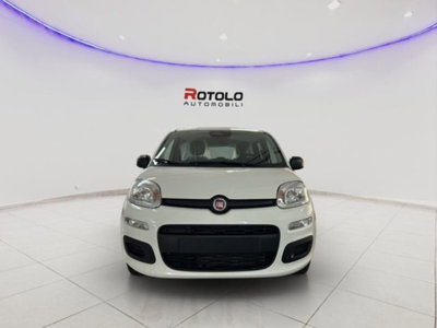 Fiat Panda 1.0 firefly hybrid Pop s&s 70cv (2)