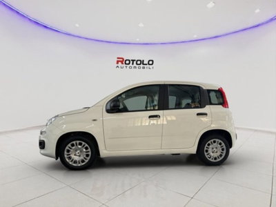 Fiat Panda 1.0 firefly hybrid Pop s&s 70cv (3)