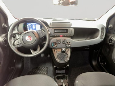 Fiat Panda 1.0 firefly hybrid Pop s&s 70cv (14)