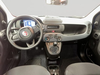 Fiat Panda 1.0 firefly hybrid Pop s&s 70cv (12)