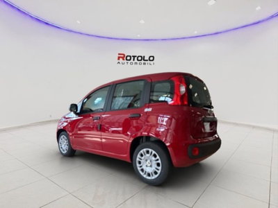 Fiat Panda 1.0 firefly hybrid Pop s&s 70cv (3)
