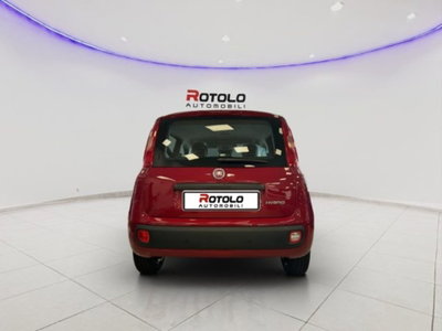 Fiat Panda 1.0 firefly hybrid Pop s&s 70cv (6)