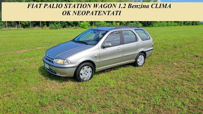 Fiat Palio Station Wagon 75 cat Weekend usata