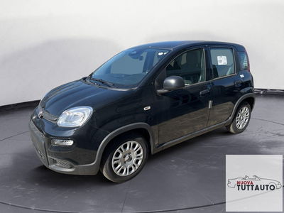 Fiat Panda Cross Cross 1.0 FireFly S&S Hybrid nuova