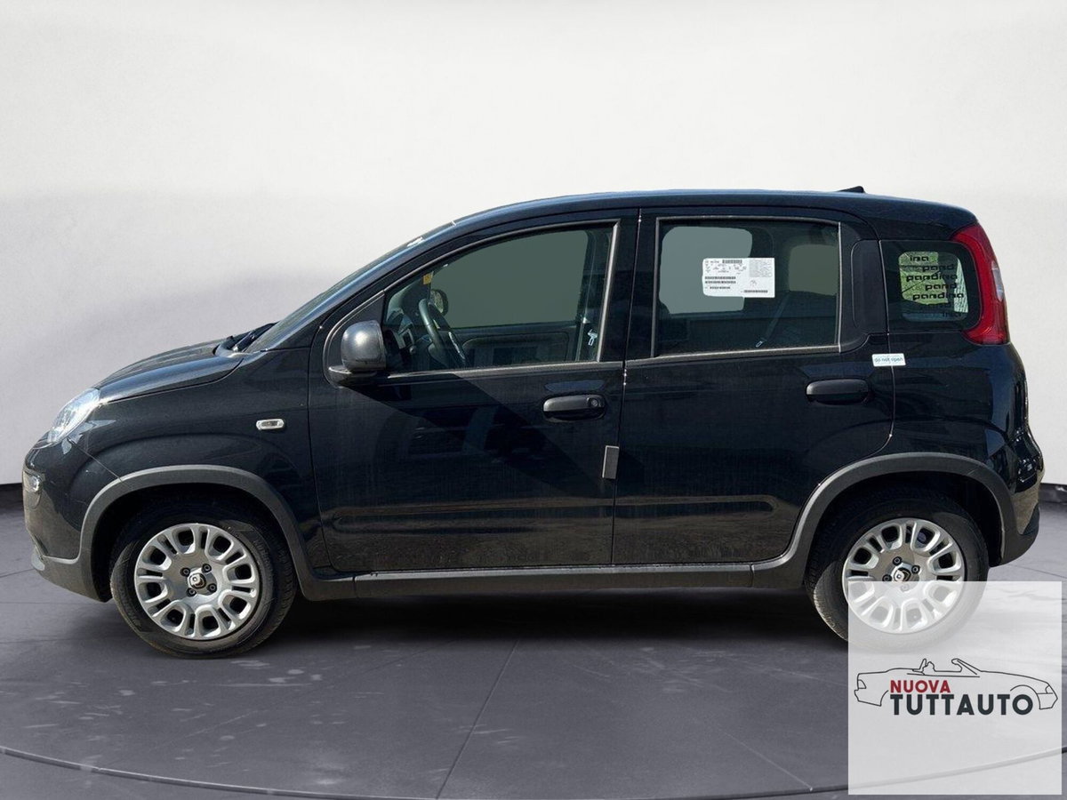 Fiat Panda Cross Cross 1.0 FireFly S&S Hybrid (2)