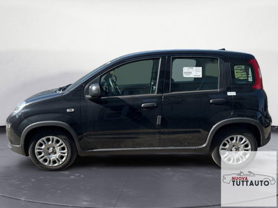 Fiat Panda Cross Cross 1.0 FireFly S&S Hybrid (2)