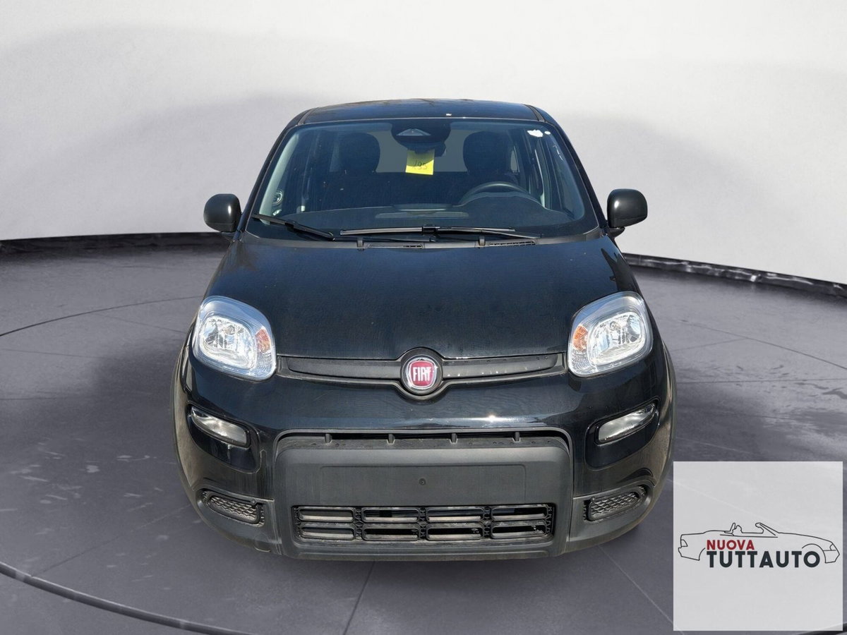 Fiat Panda Cross Cross 1.0 FireFly S&S Hybrid (4)