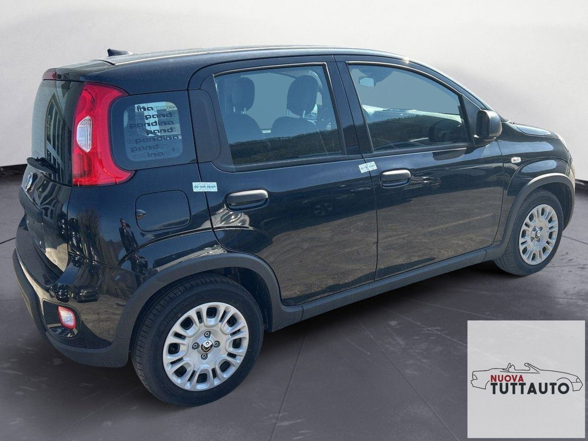 Fiat Panda Cross Cross 1.0 FireFly S&S Hybrid (6)