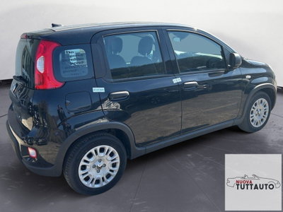 Fiat Panda Cross Cross 1.0 FireFly S&S Hybrid (6)