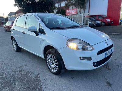 Fiat Punto 1.4 8V 5 porte Natural Power Lounge usata