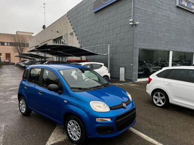 Fiat Panda 1.0 firefly hybrid s&s 70cv 5p.ti nuova