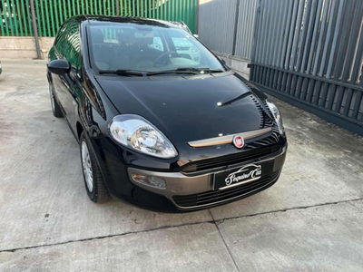 Fiat Punto 1.3 MJT II 75 CV 5 porte Young usata
