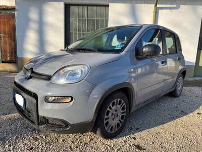 Fiat Panda 1.0 firefly hybrid s&s 70cv 5p.ti usata
