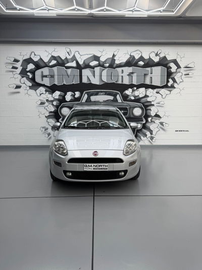 Fiat Punto 1.2 8V 5 porte Lounge usata
