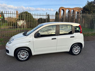 Fiat Panda 1.2 EasyPower Lounge usata