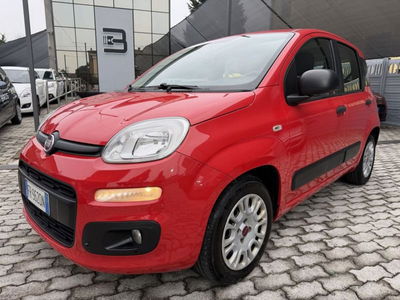 Fiat Panda 1.3 MJT 95 CV S&S Easy usata