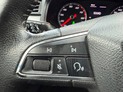SEAT Ibiza 1.0 TGI 5 porte Style (18)