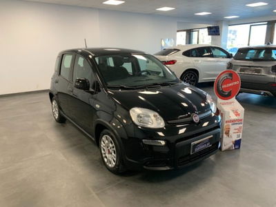 Fiat Panda 1.0 firefly hybrid s&s 70cv 5p.ti usata