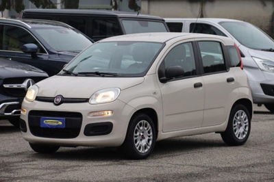 Fiat Panda 1.2 Lounge usata