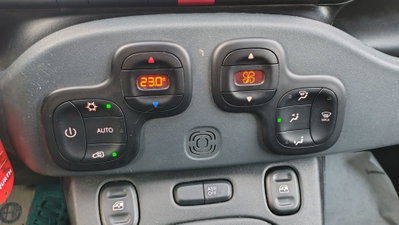 Fiat Panda Cross Cross 1.0 FireFly S&S Hybrid (11)