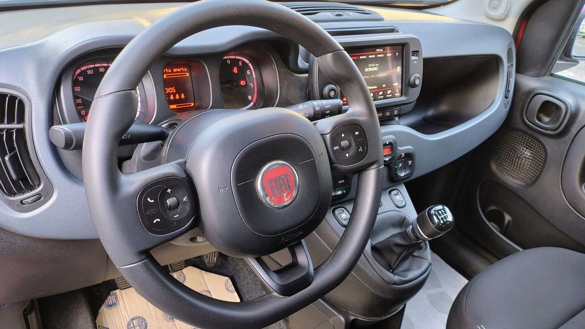 Fiat Panda Cross Cross 1.0 FireFly S&S Hybrid (14)