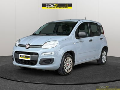 Fiat Panda 1.2 Easy usata