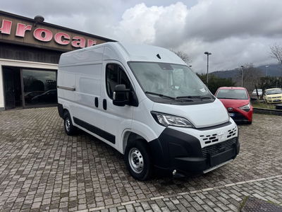 Fiat Ducato Furgone 33 2.2 Mjt 140CV AT9 PM-TN Furgone
