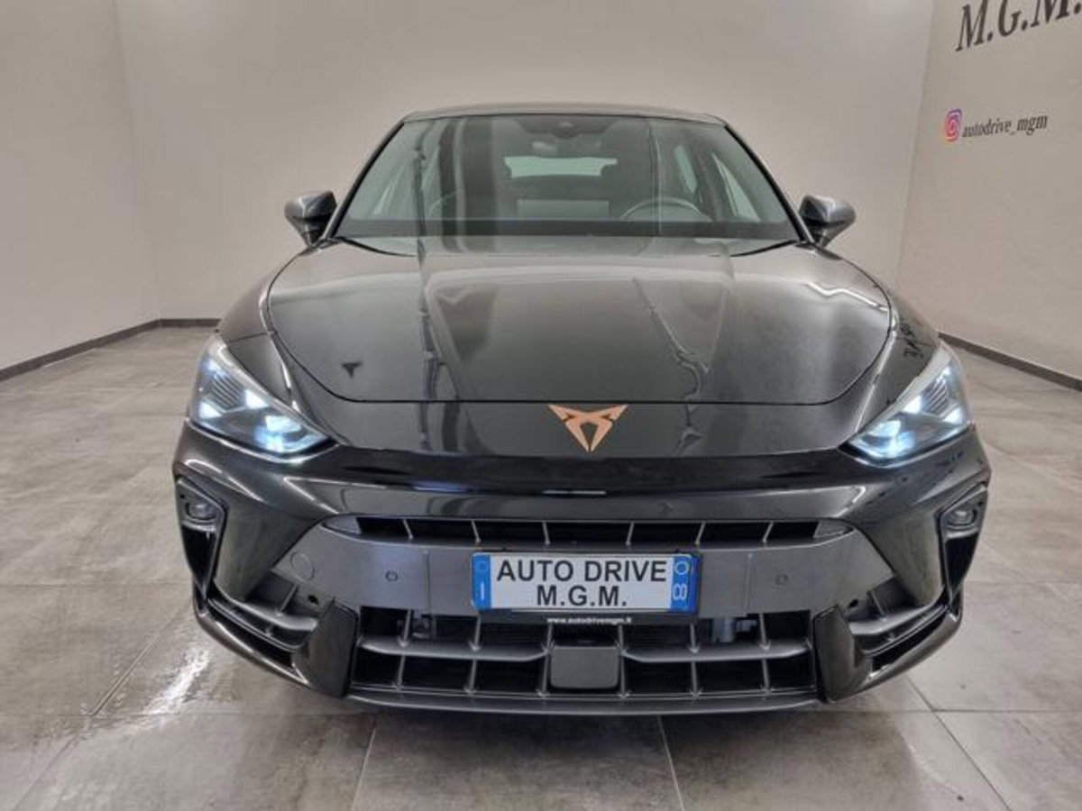 Cupra Leon Leon 2.0 tdi 150cv dsg (4)