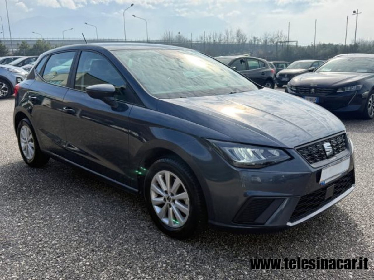 SEAT Ibiza 1.0 EcoTSI 110 CV 5 porte Business (4)