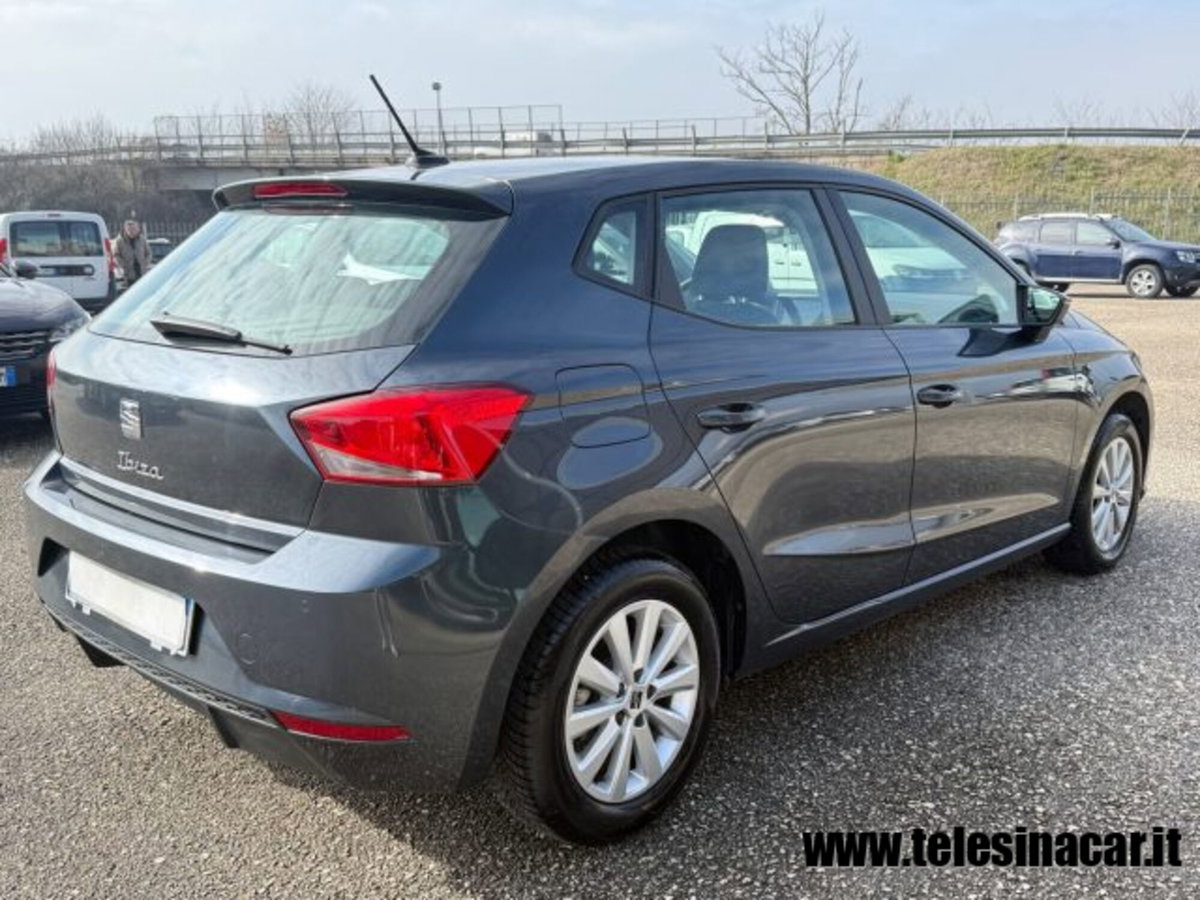 SEAT Ibiza 1.0 EcoTSI 110 CV 5 porte Business (6)