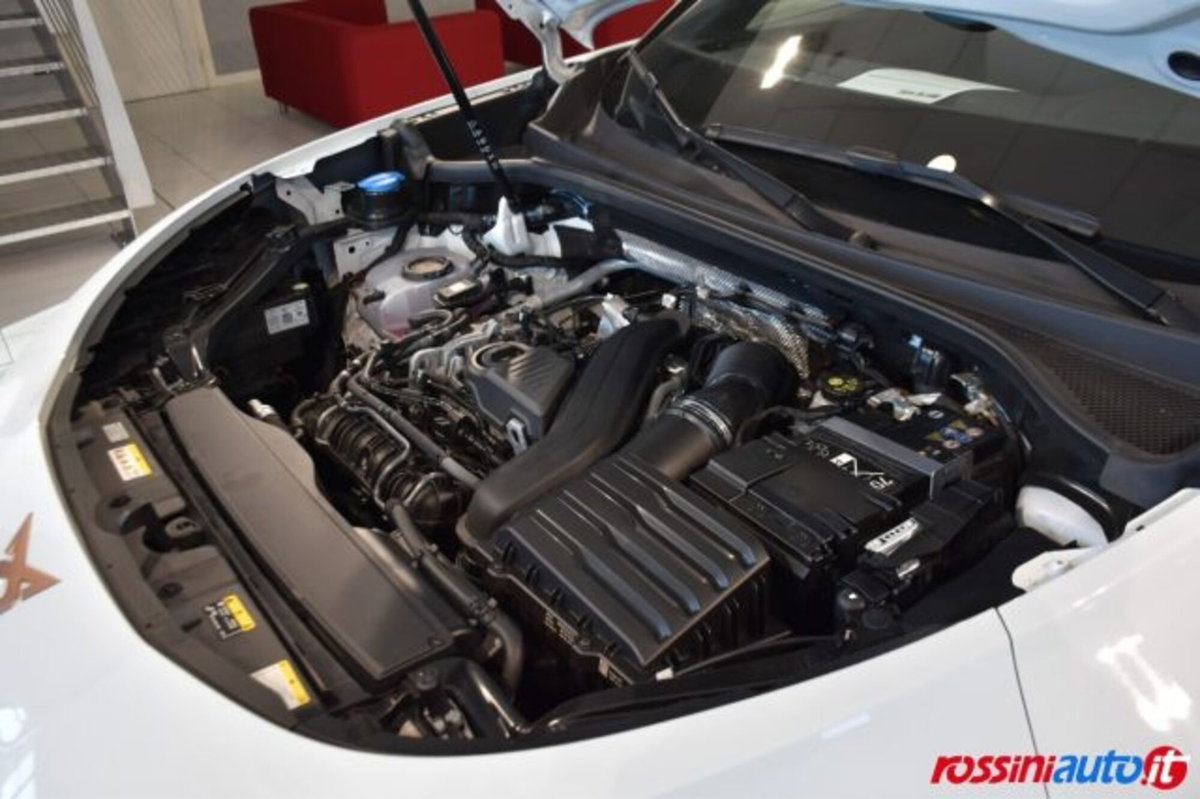 Cupra Terramar 1.5 hybrid 150cv dsg (15)