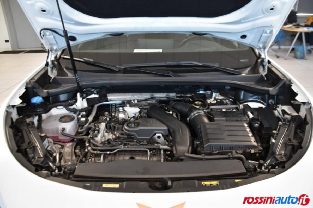 Cupra Terramar 1.5 hybrid 150cv dsg (17)