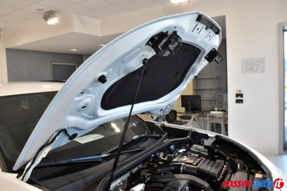 Cupra Terramar 1.5 hybrid 150cv dsg (20)