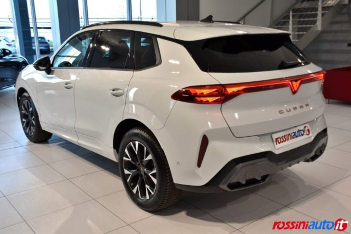 Cupra Terramar 1.5 hybrid 150cv dsg (3)