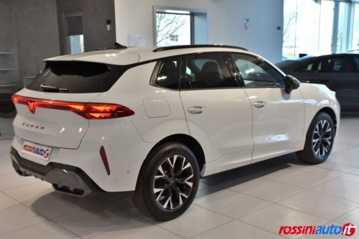 Cupra Terramar 1.5 hybrid 150cv dsg (5)