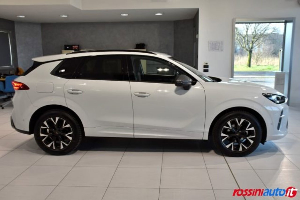 Cupra Terramar 1.5 hybrid 150cv dsg (6)