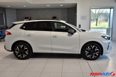 Cupra Terramar 1.5 hybrid 150cv dsg (6)